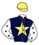 MEHMET ÇİZİK