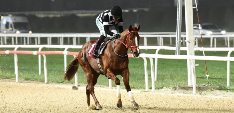Gür Özbelge Koşusu'nda Birincilik Hard Runner'ın Oldu